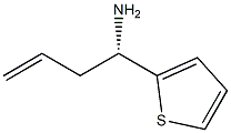 (S)-1-(Thiophen-2-yl)but-3-en-1-amine 结构式