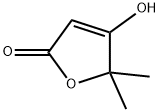 4-羟基-5,5-二甲基呋喃-2(5H)-酮 结构式