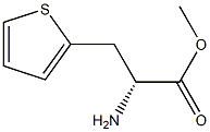 METHYL (2R)-2-AMINO-3-(THIOPHEN-2-YL)PROPANOATE 结构式