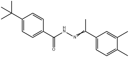 4-tert-butyl-N'-[(1Z)-1-(3,4-dimethylphenyl)ethylidene]benzohydrazide 结构式