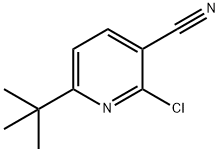 6-叔-丁基-2-氯吡啶-3-甲腈 结构式