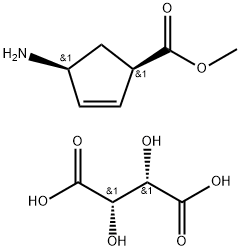 (2S,3S)-2,3-二羟基丁二酸甲基(1R,4S)-4-氨基环戊-2-烯-1-甲酸叔丁酯 结构式