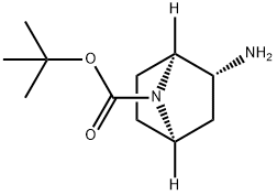 (1S,2R,4R)-2-氨基-7-氮杂双环[2.2.1]庚烷-7-羧酸叔丁酯 结构式