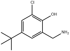 2-(aminomethyl)-4-tert-butyl-6-chlorophenol 结构式