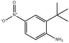 2-(叔丁基)-4-硝基苯胺 结构式