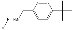 4-叔丁基苄胺盐酸盐 结构式