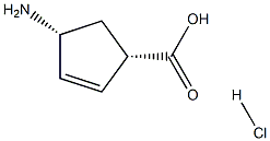 (1S,4R)-4-氨基环戊烯-2-羧酸盐酸盐 结构式