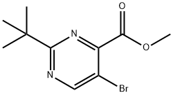 5-溴-2-(叔丁基)嘧啶-4-羧酸甲酯 结构式