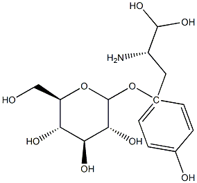 3,4-二羟基苯乙基葡糖苷 结构式