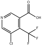5-氯-4-(三氟甲基)烟酸 结构式