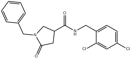 化合物 P2X7 RECEPTOR ANTAGONIST-2 结构式