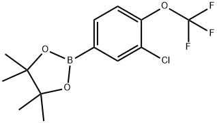 2-(2-chloro-3-(trifluoromethoxy)phenyl)-4,4,5,5-tetramethyl-1,3,2-dioxaborolane 结构式