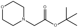 2-吗啉基乙酸叔丁酯 结构式