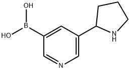 5-(pyrrolidin-2-yl)pyridin-3-ylboronic acid hydrochloride 结构式