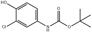 叔-丁基 N-(3-氯-4-羟基苯基)氨基甲酯 结构式