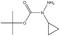 1-环丙基肼甲酸叔丁酯 结构式