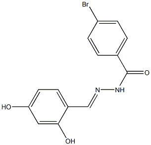 4-bromo-N'-(2,4-dihydroxybenzylidene)benzohydrazide 结构式