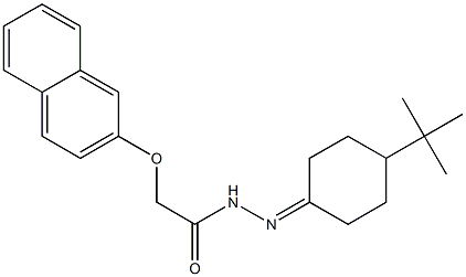 N'-(4-(tert-butyl)cyclohexylidene)-2-(naphthalen-2-yloxy)acetohydrazide 结构式