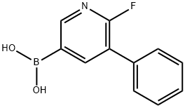 2-氟-3-苯基吡啶-5-硼酸 结构式