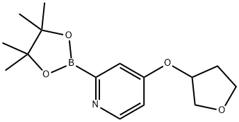 4-((tetrahydrofuran-3-yl)oxy)-2-(4,4,5,5-tetramethyl-1,3,2-dioxaborolan-2-yl)pyridine 结构式