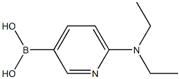 6-(Diethylamino)pyridine-3-boronic acid 结构式