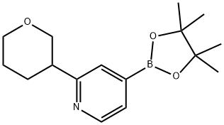 2-(tetrahydro-2H-pyran-3-yl)-4-(4,4,5,5-tetramethyl-1,3,2-dioxaborolan-2-yl)pyridine 结构式