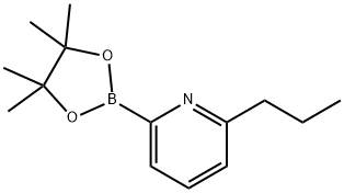 2-propyl-6-(4,4,5,5-tetramethyl-1,3,2-dioxaborolan-2-yl)pyridine 结构式