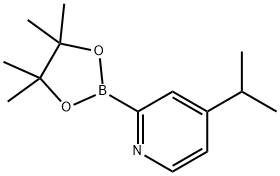 4-(1-甲基乙基)-2-(4,4,5,5-四甲基-1,3,2-二氧硼杂环戊烷-2-基)吡啶 结构式