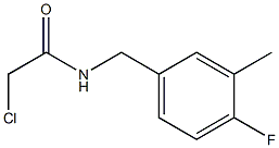 2-chloro-N-[(4-fluoro-3-methylphenyl)methyl]acetamide 结构式