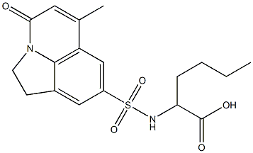 2-(6-methyl-4-oxo-2,4-dihydro-1H-pyrrolo[3,2,1-ij]quinoline-8-sulfonamido)hexanoic acid 结构式