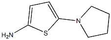 5-(pyrrolidin-1-yl)thiophen-2-amine 结构式