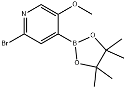 2-溴-5-甲氧基-4-(4,4,5,5-四甲基-1,3,2-二氧硼杂环戊烷-2-基)吡啶 结构式