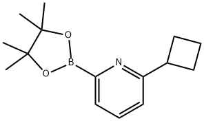 2-cyclobutyl-6-(4,4,5,5-tetramethyl-1,3,2-dioxaborolan-2-yl)pyridine 结构式