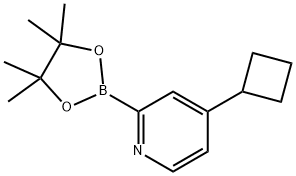 4-cyclobutyl-2-(4,4,5,5-tetramethyl-1,3,2-dioxaborolan-2-yl)pyridine 结构式