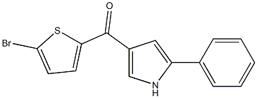 (5-bromothiophen-2-yl)(5-phenyl-1H-pyrrol-3-yl)methanone 结构式