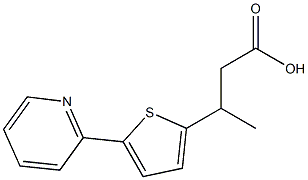 3-(5-(pyridin-2-yl)thiophen-2-yl)butanoic acid 结构式