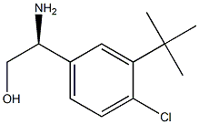 (S)-2-amino-2-(3-(tert-butyl)-4-chlorophenyl)ethanol 结构式