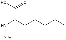 Enanthic  acid,  -alpha--hydrazino-  (4CI) 结构式