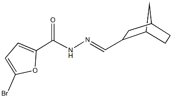 N'-(bicyclo[2.2.1]hept-2-ylmethylene)-5-bromo-2-furohydrazide 结构式