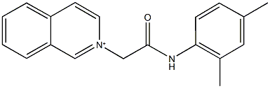 2-[2-(2,4-dimethylanilino)-2-oxoethyl]isoquinolinium 结构式