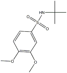 N-(tert-butyl)-3,4-dimethoxybenzenesulfonamide 结构式