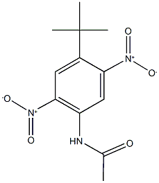 N-{4-tert-butyl-2,5-bisnitrophenyl}acetamide 结构式