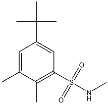 5-tert-butyl-N,2,3-trimethylbenzenesulfonamide 结构式