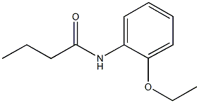 N-(2-ethoxyphenyl)butanamide 结构式