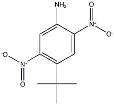 4-tert-butyl-2,5-dinitroaniline 结构式