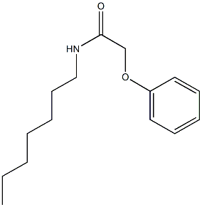 N-heptyl-2-phenoxyacetamide 结构式