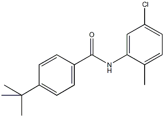 4-tert-butyl-N-(5-chloro-2-methylphenyl)benzamide 结构式