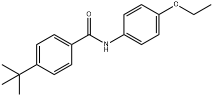 4-tert-butyl-N-(4-ethoxyphenyl)benzamide 结构式