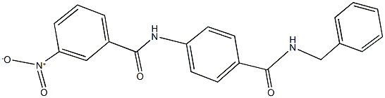 N-{4-[(benzylamino)carbonyl]phenyl}-3-nitrobenzamide 结构式