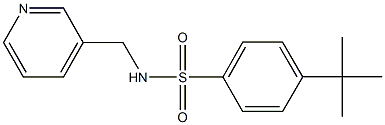 4-tert-butyl-N-(3-pyridinylmethyl)benzenesulfonamide 结构式